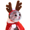 PET CAP HOLIDAY HEADTURNER: Hilarious Opportunity!