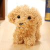 Cute plush dog plush doll pendant Teddy doll