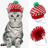 PET CAP HOLIDAY HEADTURNER: Hilarious Opportunity!